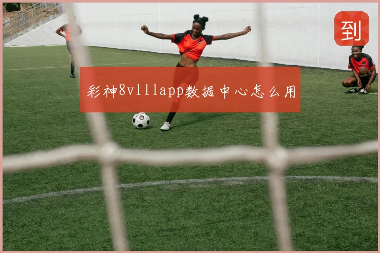 彩神8vlllapp数据中心怎么用